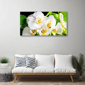 Quadro stampa su tela Fiori di orchidea Natura 100x50 cm