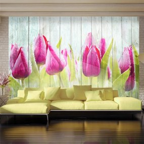 Fotomurale Tulipani su un legno bianco