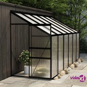 vidaXL Serra Antracite in Alluminio 7,77 m³