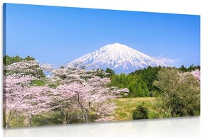 Stampa su tela – Vulcano Fuji