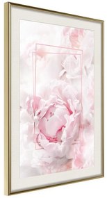 Poster  Floral Dreams  Cornice Quadri Cornice d'oro con passe-partout, Larghezza x Altezza Home decor 40x60