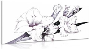 Quadro su tela – Illustrazione di gladioli in fiore