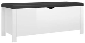 Contenitore con Cuscino Bianco Lucido 105x40x45cm Multistrato