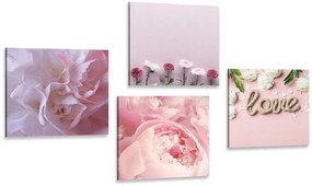 Set di quadri – Fiori in delicata tonalità rosa