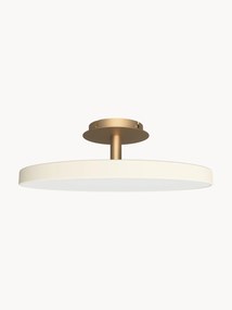 Lampada da soffitto grande a LED Asteria