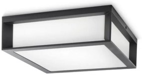 Philips - Plafoniera da esterno SKIES 2xE27/14W/230V IP44 antracite