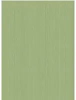 Streifentapete Jaspe von Cole and Son - Grass Green