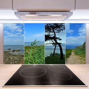 Pannello cucina paraschizzi Paesaggio dell'albero della spiaggia 100x50 cm