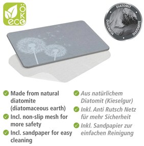 Tappetino da bagno grigio in terra di diatomee 39x60 cm Astera - Wenko