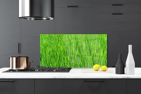 Pannello paraschizzi cucina Tappeto erboso dell'erba verde della natura 100x50 cm