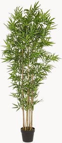 Set di 2 piante artificiali Bamboo II