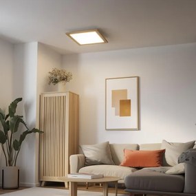 Brilagi - Luce LED dimmerabile SLIMFRAME WOOD LED/36W/230V 49,5x49,5 cm + +TC