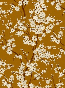 Coordonne Carta da parati Cherry Blossom - Honey