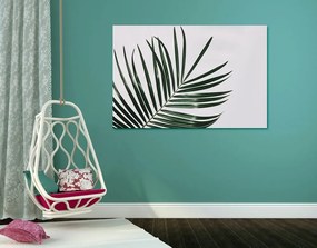 Quadro su tela – Splendido foglia di palma