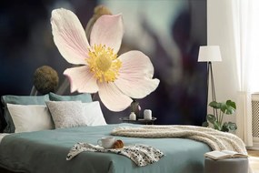 Carta da parati – Delicatezza del fiore