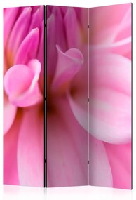 Paravento Petali Floreali - Dalie - romantica composizione di fiore rosa