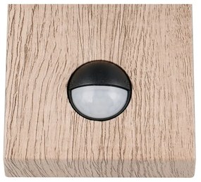 Illuminazione esterna con sensore di movimento da parete (altezza totale 33 cm) Sambesi – Trio