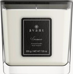 Candela profumata Evermore (frutti agrumi)