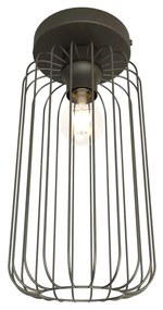 Plafonriera Minimal Industrial Barn 1 Luce Nera