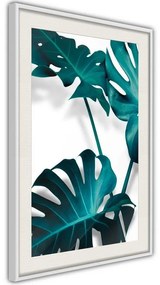 Poster  Turquoise Monstera II  Cornice Quadri Cornice d'oro con passe-partout, Larghezza x Altezza Home decor 20x30