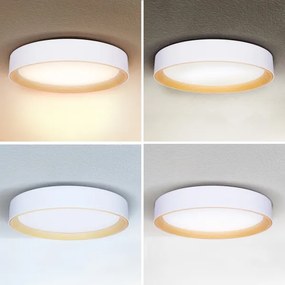 Brilagi -Luce LED dimmerabile LARIOS LED/48W/230V 3000-6500K ø 39 cm white+RC