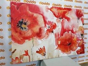 Stampa su tela – Papaveri rossi sul campo