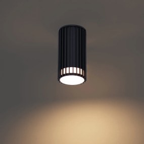 Plafoniera da esterno di design nera IP44 - Boris