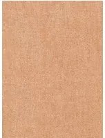 Essentials Carta da parati Granville - Tangerine