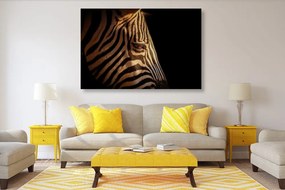 Stampa su tela – Ritratto di zebra