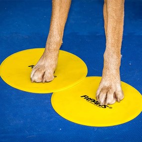 Target Per Cani 4 Pz Giallo E Blu /