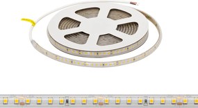Striscia LED 24V 10W/m Alta Efficienza Professionale - IP67 - 5 metri