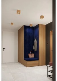 Sollux SL.1279 - Faretto HATI 1xGU10/10W/230V oro