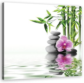 Quadro su tela, Zen giardino acquatico  Dimensioni Tappeti 40x40