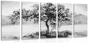 Quadri 5 pezzi – Ciliegio orientale in bianco e nero