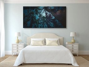 Stampa su tela – Foresta sotto il cielo notturno