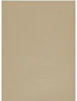 Terrastone original fein - Probeset - 77 - Earth
