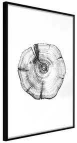 Poster  Tree Rings  Cornice Quadri Cornice nera, Larghezza x Altezza Home decor 30x45