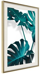 Poster  Turquoise Monstera II  Cornice Quadri Cornice d'oro con passe-partout, Larghezza x Altezza Home decor 20x30