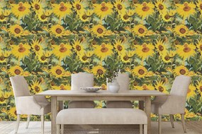 Carta da parati – Girasoli in natura selvaggia