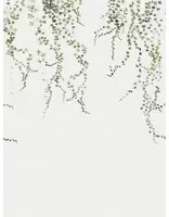 Sandberg Carta da parati panoramica Aralia - Moss-Green