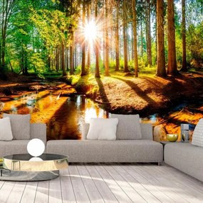 Fotomurale adesivo  Marvelous Forest  Larghezza x Altezza Home decor 147x105