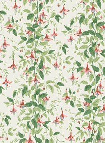 Cole & Son Carta da parati Fuchsia - Rose Pink and Soft Green on Parchment