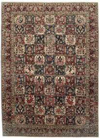 Bakhtiar Tappeto 250 x 350 (Iran) Annodato A Mano