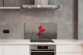 Pannello paraschizzi cucina Pappagallo rosso su un ramo 100x50 cm