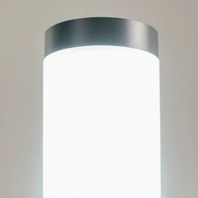 BRILAGI - Lampada da esterno ELIA 1xE27/20W/230V IP44 100 cm antracite