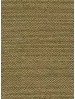 Élitis Tapete Sisal - RM 1069 66