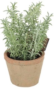 Pianta artificiale (altezza 21,5 cm) Thyme - Esschert Design