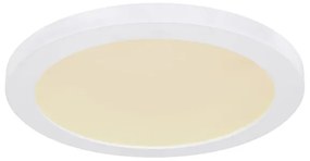 Globo 12379-24W - Plafoniera LED LASSE LED/24W/230V