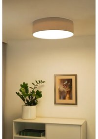 Duolla - Lampada LED da soffitto CORTINA LED/26W/230V Ø30 cm 4000K grigio