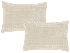 Federe decorative in set in velluto 2 pz 50x75 cm Attica Velvet Embroidered – Bianca